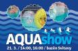 Aqua show 2015